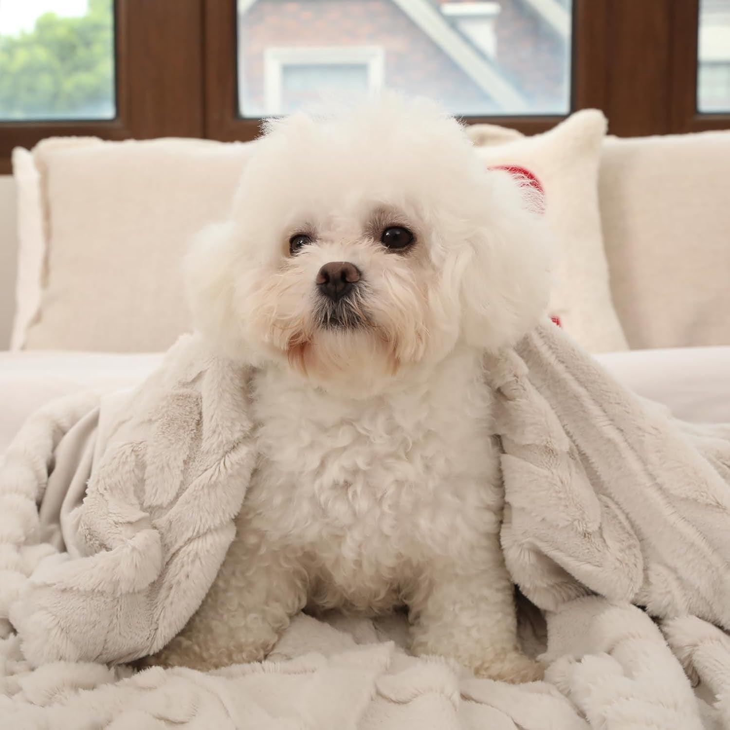 Faux Fur Throw Blanket for Couch, Jacquard Fuzzy Plush Soft Thick Winter Throw Blanket for Sofa Bed Living Room Bedroom,60"X80" Beige