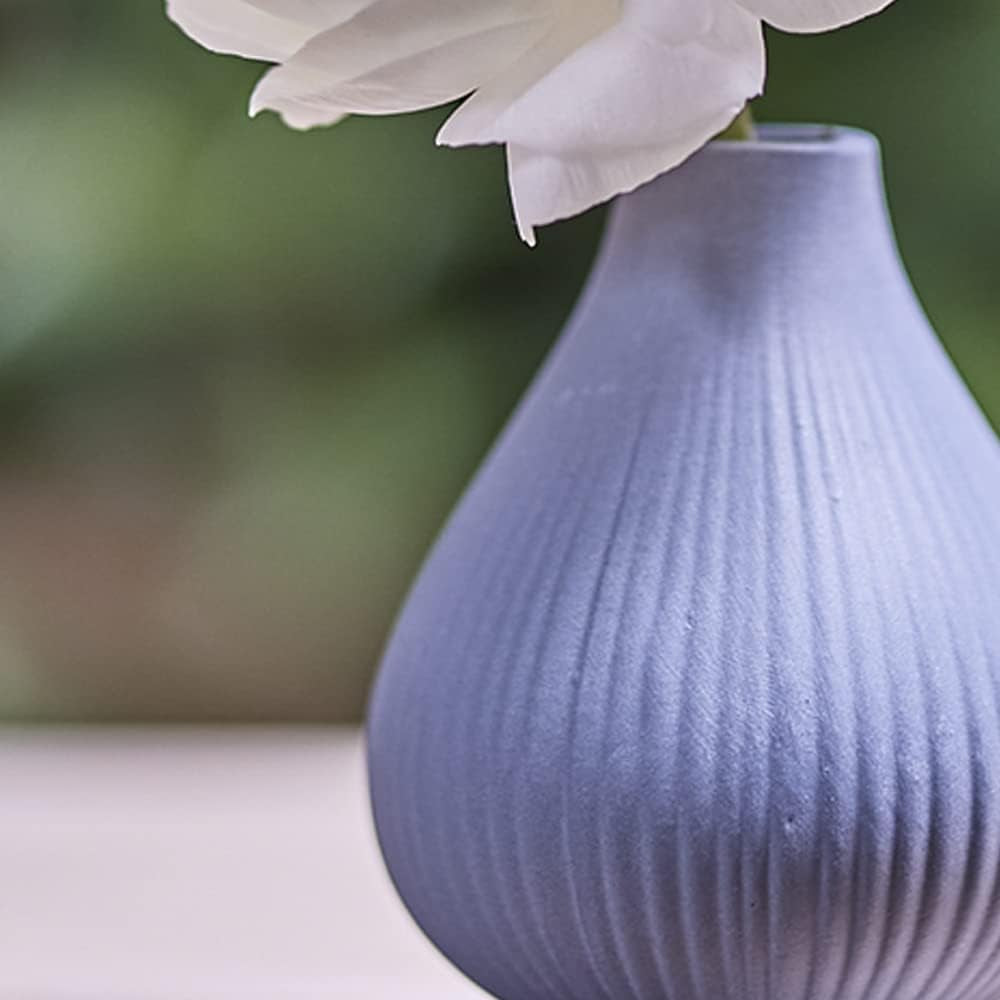 Frost Bud Vase Collection