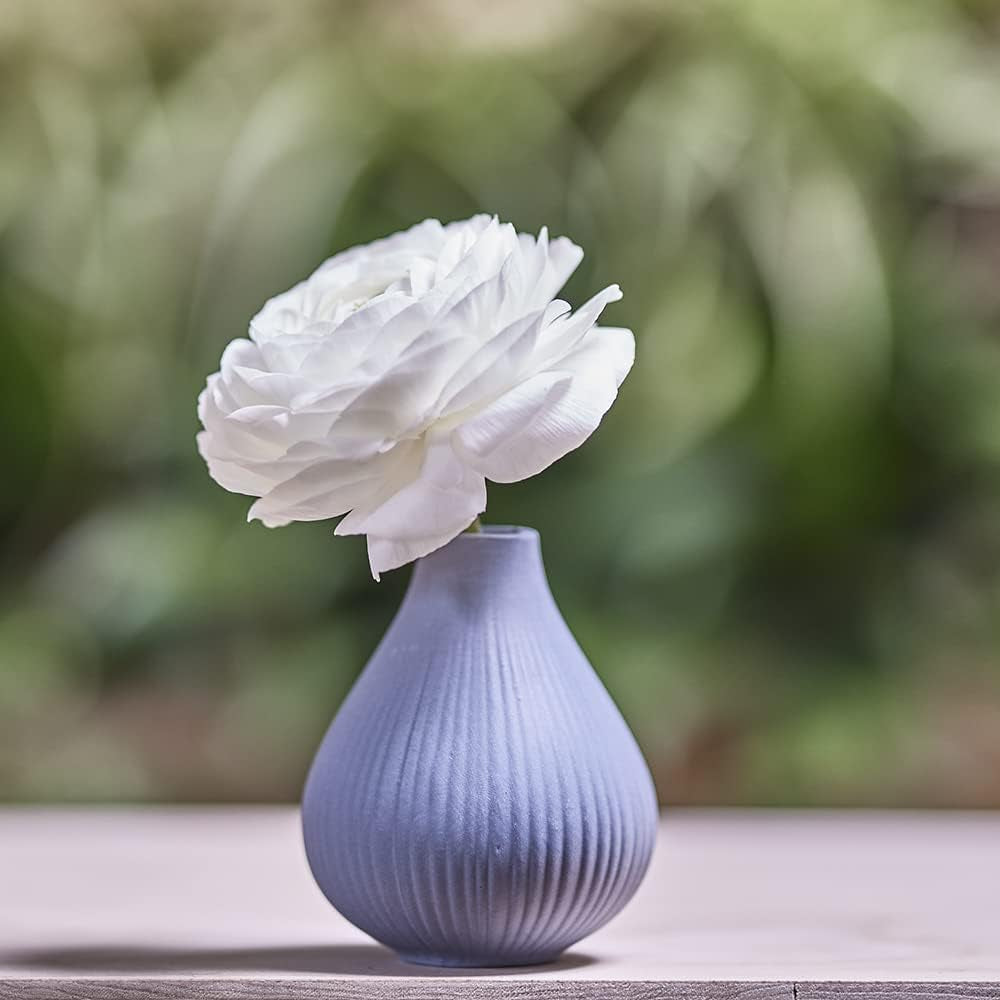 Frost Bud Vase Collection