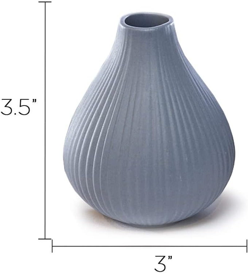 Frost Bud Vase Collection