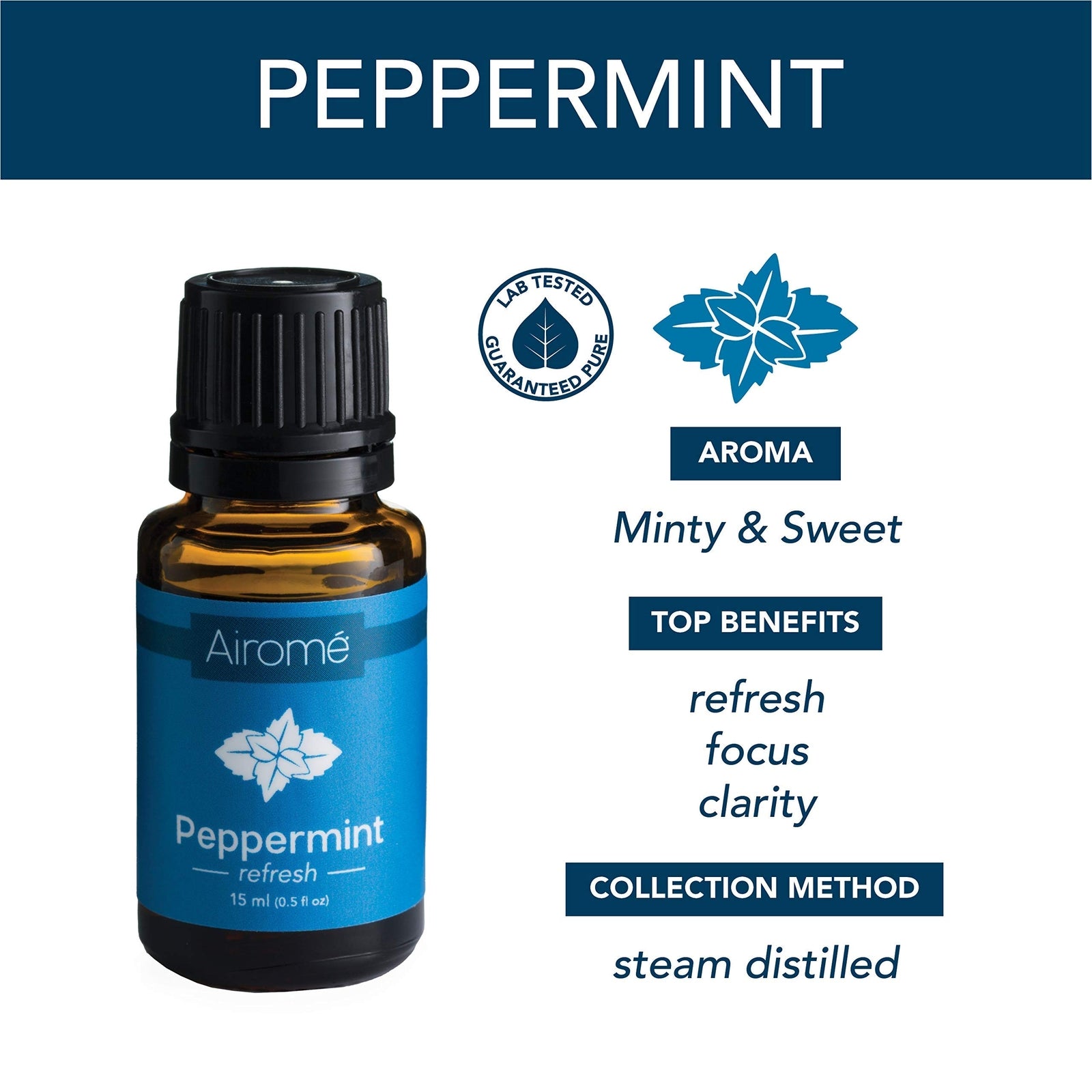 Stillness in two tones — black and white, scent and silence.