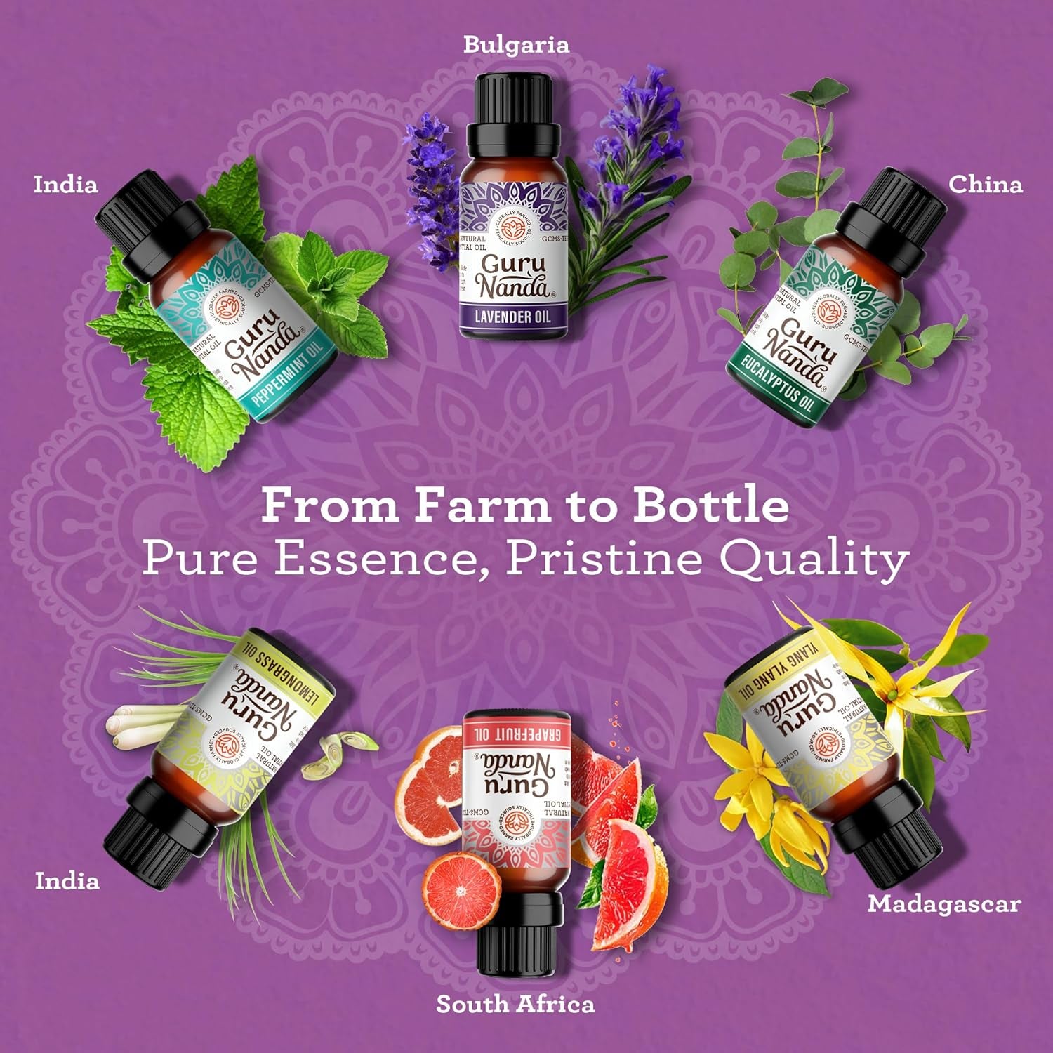 Pure Oil Apotheca Set