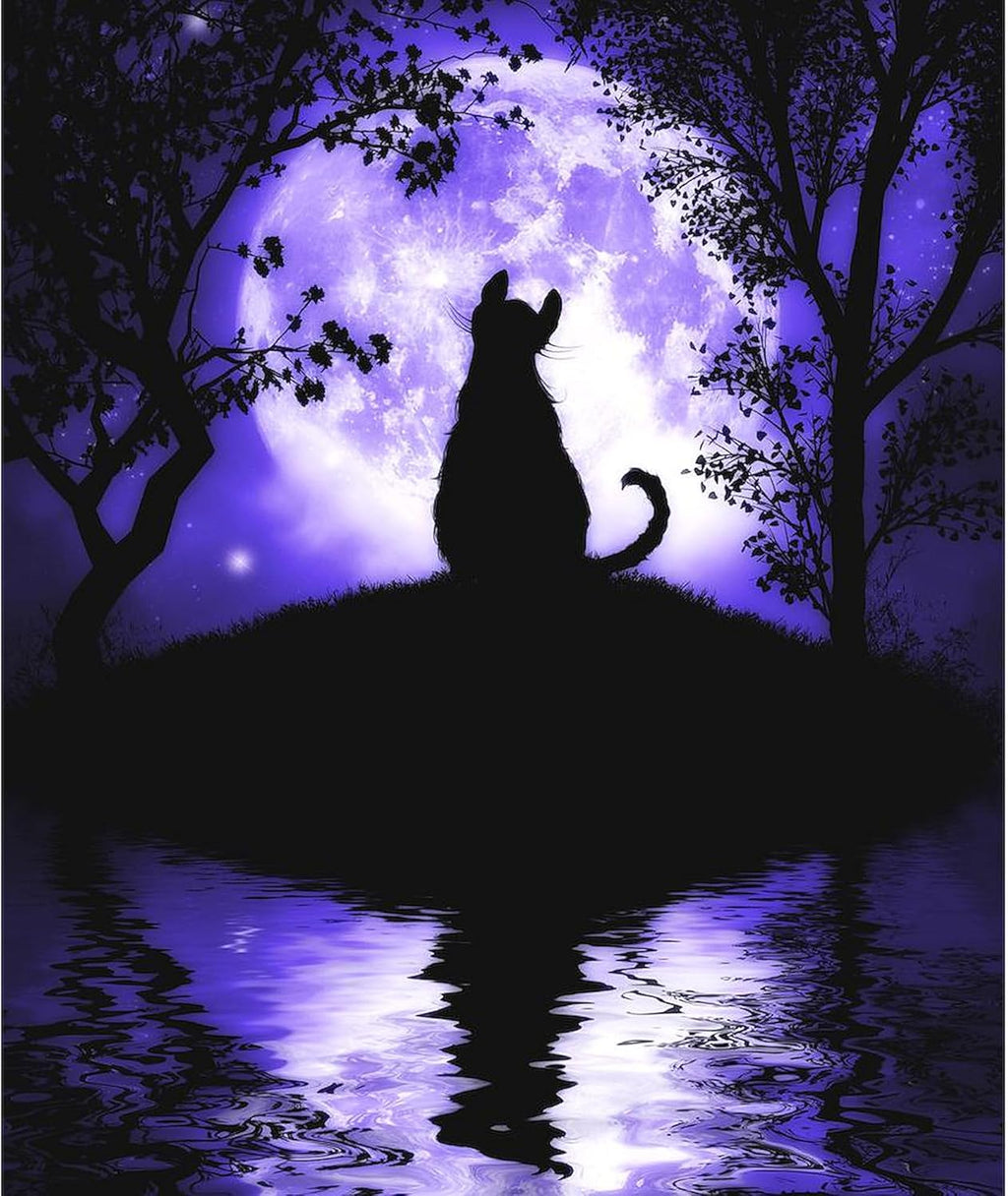 Rosalie'S Moon Cat Throw Blanket/Cover Super Soft Fleece Plush Throw Blanket, 60"X50"